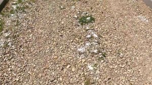 Kак избавится от травы на каменистой дороге. Сода и соль на падмогу