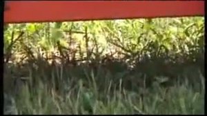 Косилка измельчитель навесная КИН Ф 1500 'Полесье CH15'