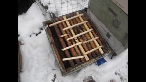 клуб пчел на зимовку собрался у задней стенке улья - что делать ?