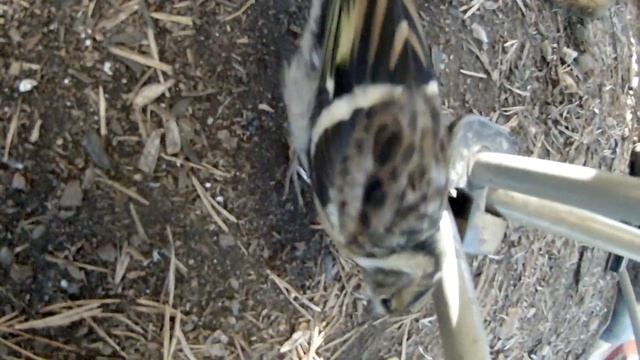 Кольский 2022 рыбалка смотреть онлайн