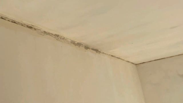 Лента углозащитная металлизированная ржавеет в углах! смотреть онлайн