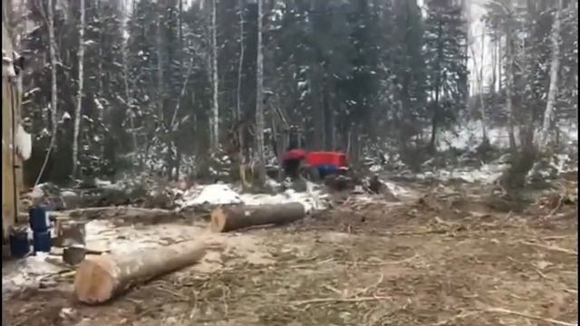 Вырубка кедрового леса в заказнике возле Батурино. Жители встретились с "вырубщиком" Ефимовым смотреть онлайн