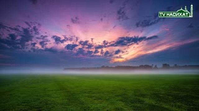 Приколы, и затопление и т.г(5) смотреть онлайн