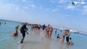 Белый Остров - все включено! Шарм Эль Шейх - Рас Мохаммед- что осталось за кадром ???