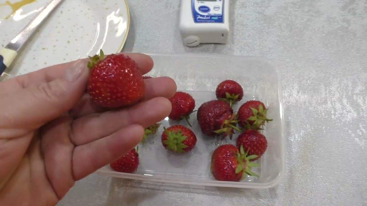 1 серия. КЛУБНИКА. Замер сахара в ранних сортах клубники. смотреть онлайн