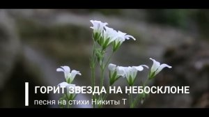 Горит звезда на небосклоне