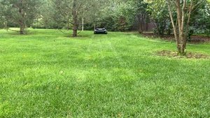 Робот газонокосилка Robomow. Алгоритмы работы робота на газоне.