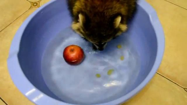 ЛАЙФХАК КАК ПРАВИЛЬНО МЫТЬ ФРУКТЫ смотреть онлайн