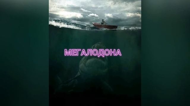 МЕГАЛОДОНА выпустят в океан ?? смотреть онлайн