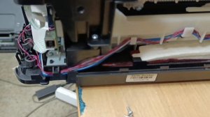 Canon G3400 когда нужно менять памперс