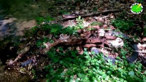 10 НЕОЖИДАННЫХ НАХОДОК  НАШЕЛ 4 ТАНКА, ДЭУ ЛАНОС, САМОЛЕТ, МОТОРОЛЛЕР, iPhone 8,