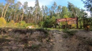 Одиночный сплав на SUP по реке Большая Кокшага ! Август 2021 ! Часть 1.