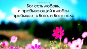 Больше всего любовь!!! Юлия Салтаненко.