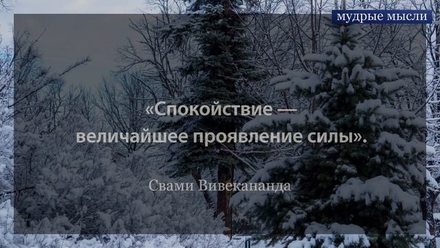 Спокойствие — величайшее проявление силы | Цитаты, афоризмы и мудрые мысли