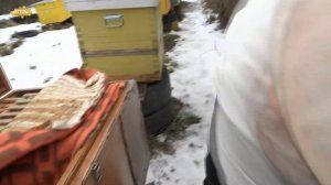КОРМИМ ПЧЁЛ КАНДИ. ПОДКОРМКА ПЧЁЛ ЗИМОЙ. FEEDING BEES IN WINTER