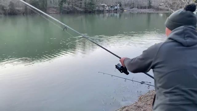 За трофеем! Рыбалка в завоз, озеро Барановское. Сочи #carpfishing #поймалотпусти