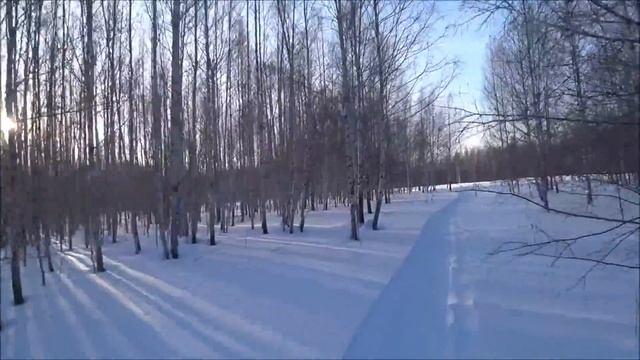 Тайга Варяг 550 пробег 3000км! Объезд угодий, пока собаки курят!!! смотреть онлайн