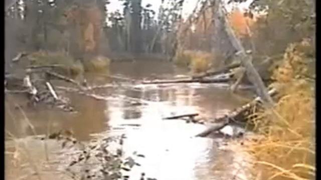 На катамаране по реке Вынгапур.wmv смотреть онлайн