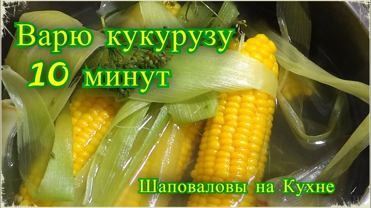 Кукуруза м 4. Как сварить кукурузу. Сколько варится кукуруза. Как варить кукурузу в листьях.