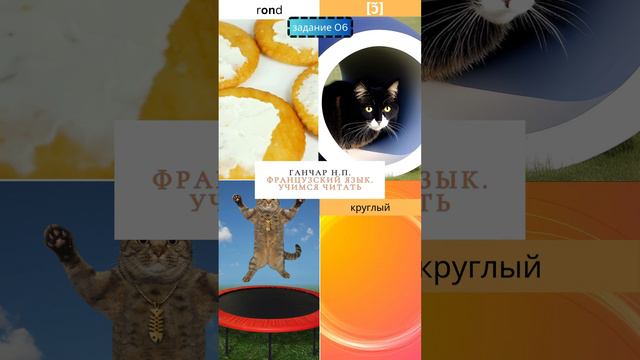 Правила чтения. Французский для начинающих. Буква O [ɔ̃]. French for beginners смотреть онлайн