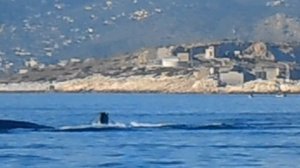 ΤΠΚ ΓΡΗΓΟΡΟΠΟΥΛΟΣ & Υ/Β ΠΟΝΤΟΣ (S-119) 06/12/2013