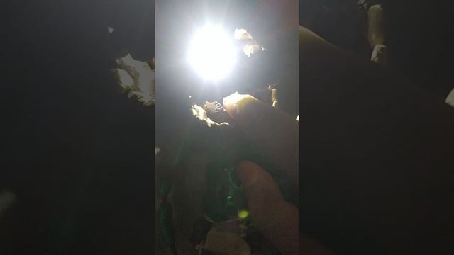 стары сприн смотреть онлайн