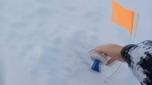 Котовское водохранилеще 02.01.2022г  отчет о рыбалке