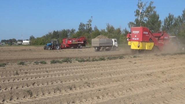 Уборка картофеля 2020 в СПК "Гигант" смотреть онлайн