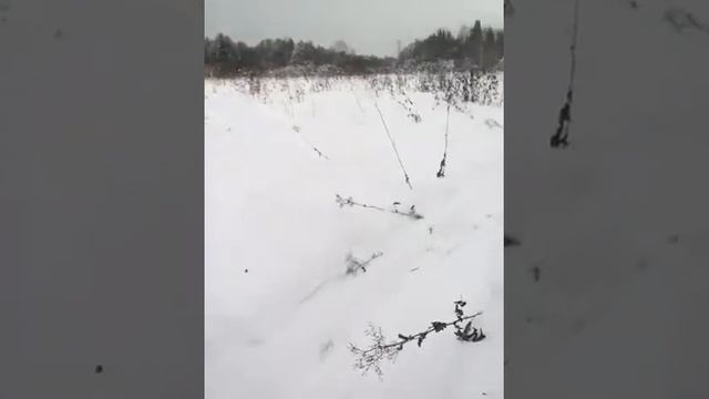 Отзыв клиента. Поездка по глубокому снегу на мотобуксировщике МУЖИК смотреть онлайн