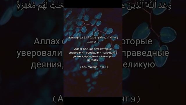 Аллах обещал тем, которые уверовали и совершали праведные деяния, прощение и великую награду