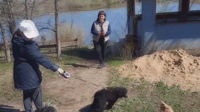 ВЛОГ: Каждому по две. Пришла сковорода "гриль-газ".29.04.2022 смотреть онлайн