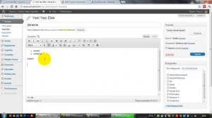(Arşiv) Wordpress Yazılar Paneli - II (Ders 9)