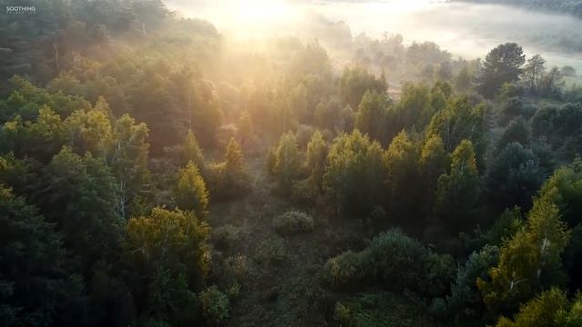 Солнечным утром Прекрасная расслабляющая музыка • Умиротворяющая фортепианная музыка и гитарная музы смотреть онлайн