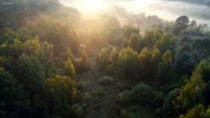 Солнечным утром Прекрасная расслабляющая музыка • Умиротворяющая фортепианная музыка и гитарная музы