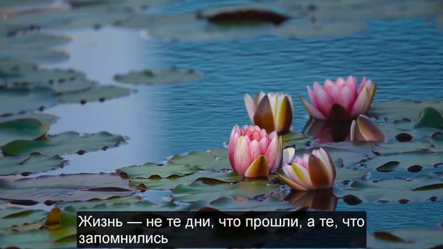 Гениальные цитаты про жизнь || Мудрые высказывания, афоризмы великих людей смотреть онлайн