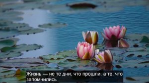 Гениальные цитаты про жизнь || Мудрые высказывания, афоризмы великих людей