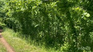 Купила дом в Грузии. Что случилось? 3D дизайн