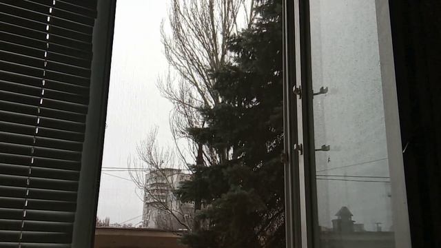 Запорожье Жизнь идёт 🤔 собака в квартире 😱