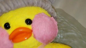 lalafanfan распаковка посылки для утки #лалафанфан утя Katy купается Duck lalafanfan #bathroom
