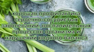 Сельдерей Польза и Вред/ Этот овощ просто Супер!!!