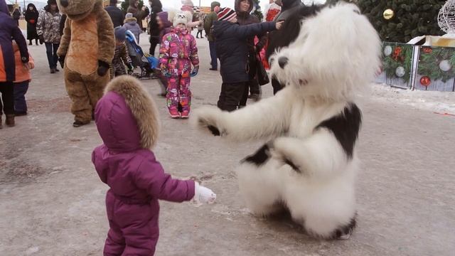 Светлый праздник Рождества в Петропавловске-Камчатском смотреть онлайн