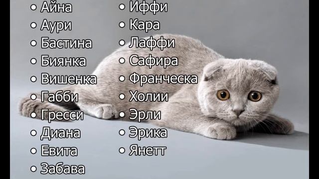 Имена для кошек^^( Для кошек Девочек) делать версию для котов Мальчиков??? смотреть онлайн