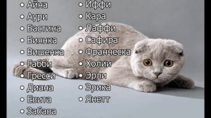 Имена для кошек^^( Для кошек Девочек) делать версию для котов Мальчиков???