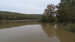 Собираем грибы и ловим рыбу в Краснодарском крае/Наша повседневная жизнь на юге