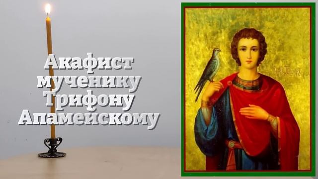УСПЕЙ ВКЛЮЧИТЬ Акафист святому Трифону! БОЛЬШОЕ СЧАСТЬЕ ПРИДЕТ В ТВОЙ ДОМ! Православие