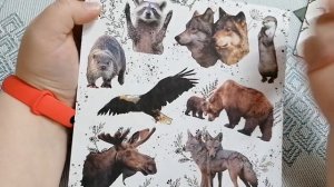 Закупка на СИМА-ЛЕНД.  Часть 2