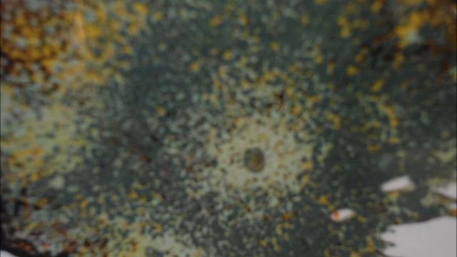 Pieza de Flautín N°8 La Menor Op.17 N°7 смотреть онлайн