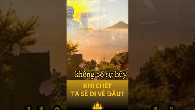 Bàn về cái chết luân hồi | Nhiệm Màu