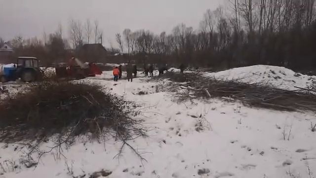 Дробим ветки. Измельчитель веток. Шредер. Аренда Дробилки веток. Расчистка участков. Расширение ЛЭП