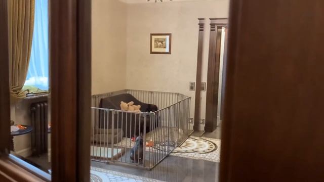 Дрессировка.Как приучить к вольеру?С Вами Наталья Севостьянова кинолог-методист смотреть онлайн